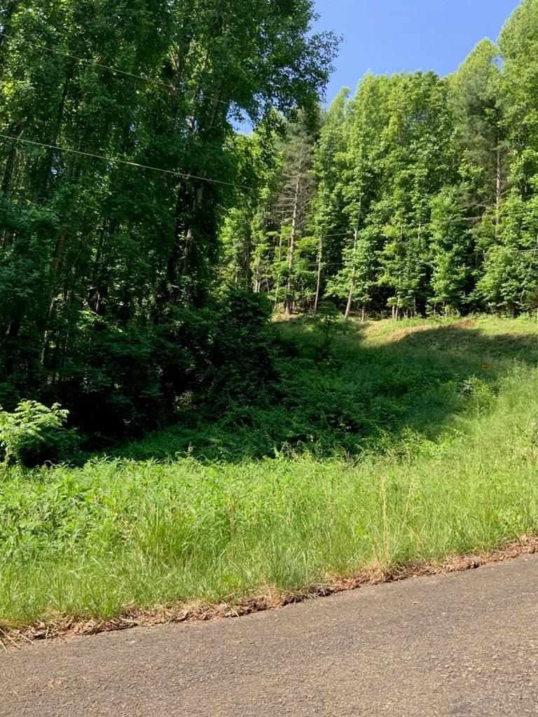 Woodlawn, Carroll County, VA Farms and Ranches for sale Property ID