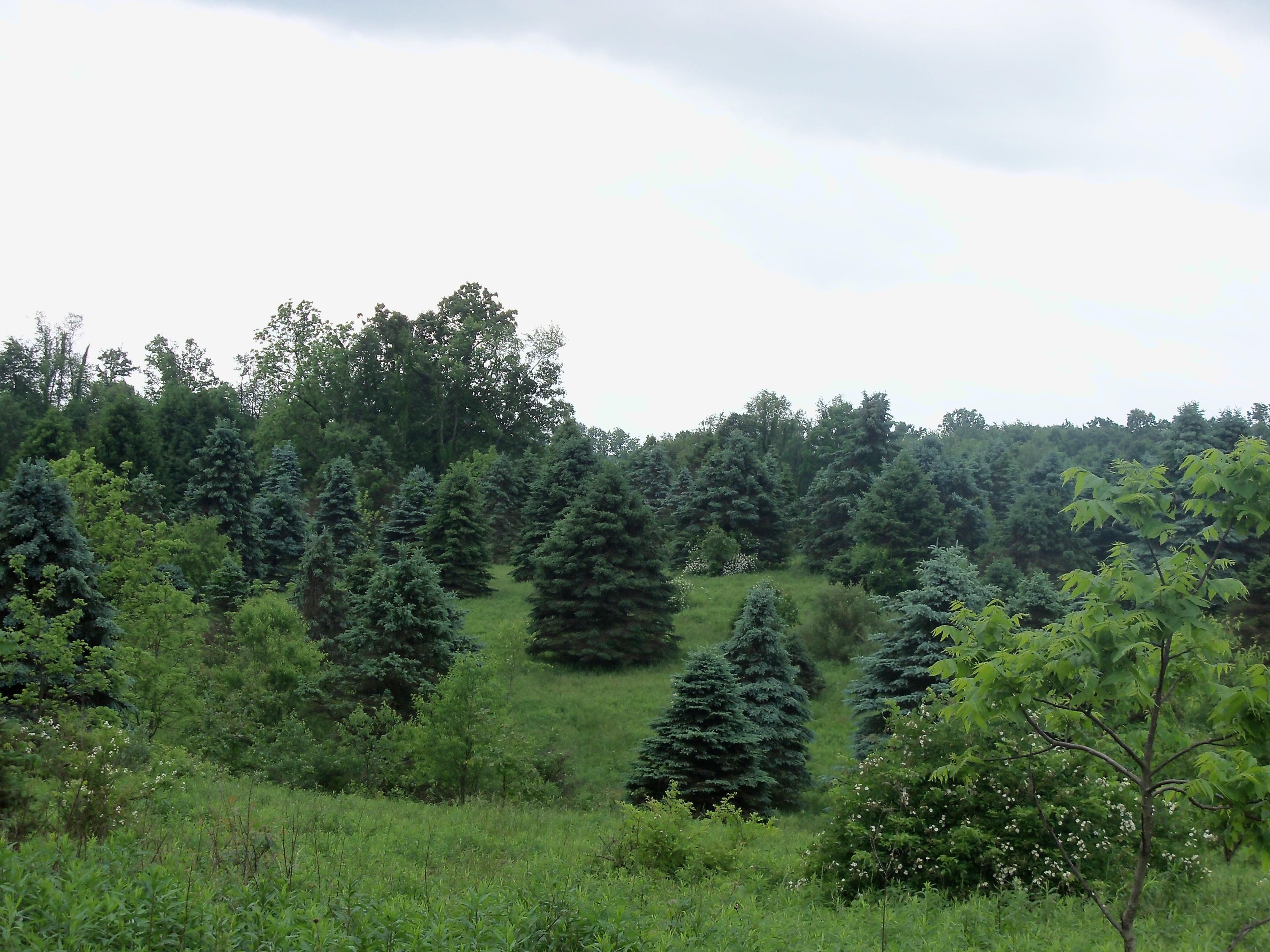 Dellroy, Carroll County, OH Farms and Ranches, Recreational Property