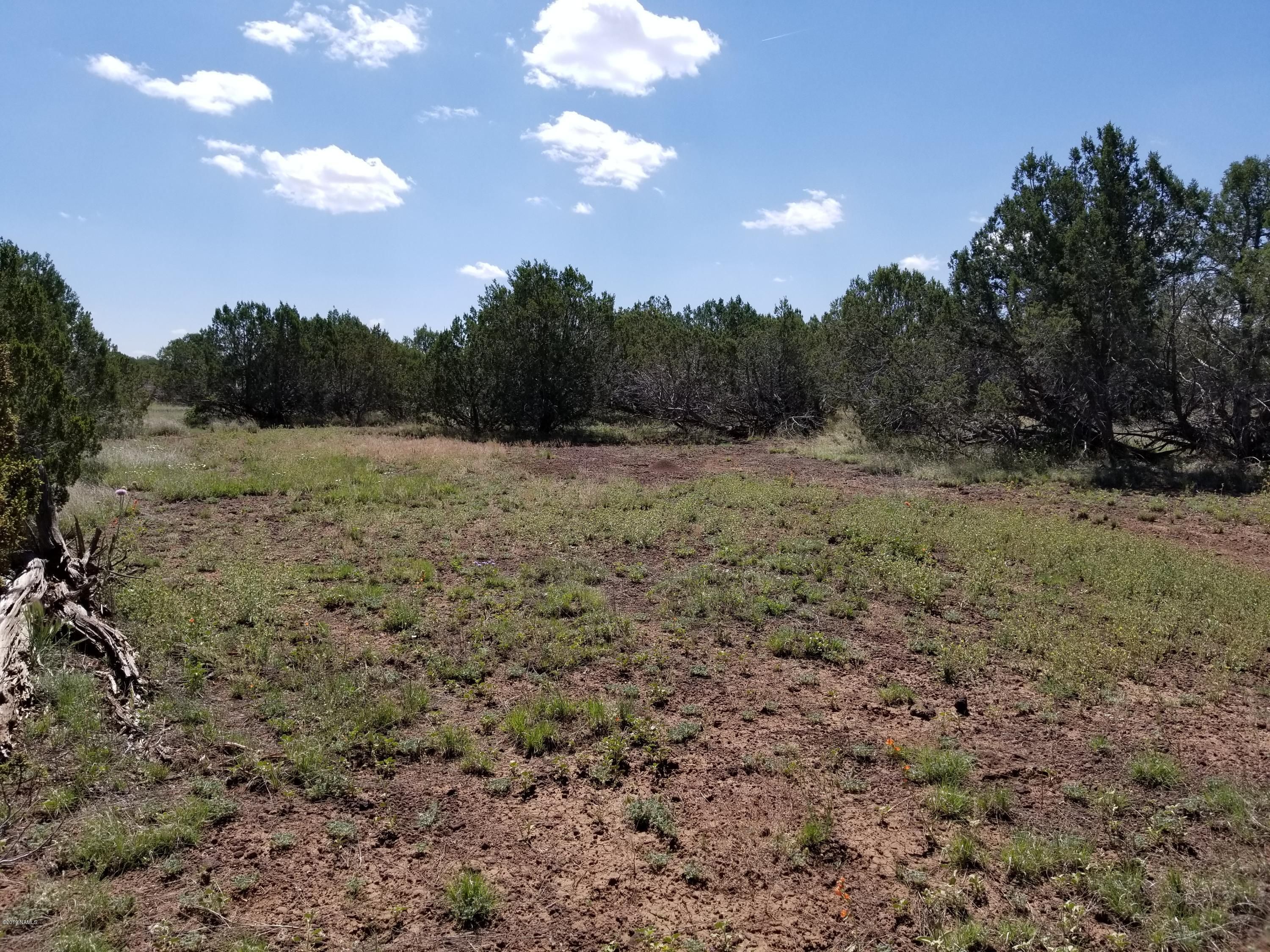 Ash Fork, Coconino County, AZ Undeveloped Land, Homesites for sale