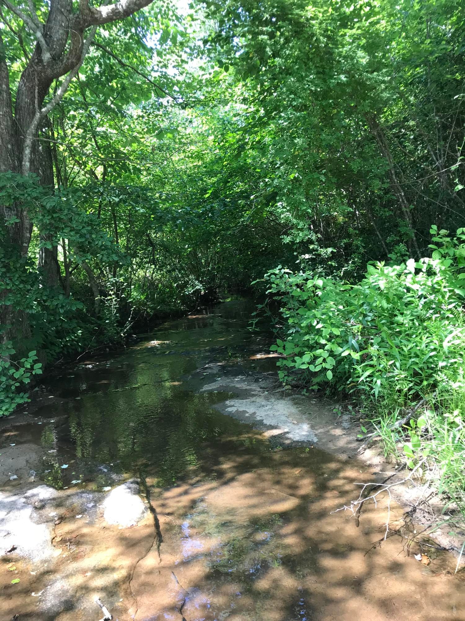 Pine Knot, McCreary County, KY Undeveloped Land for sale Property ID