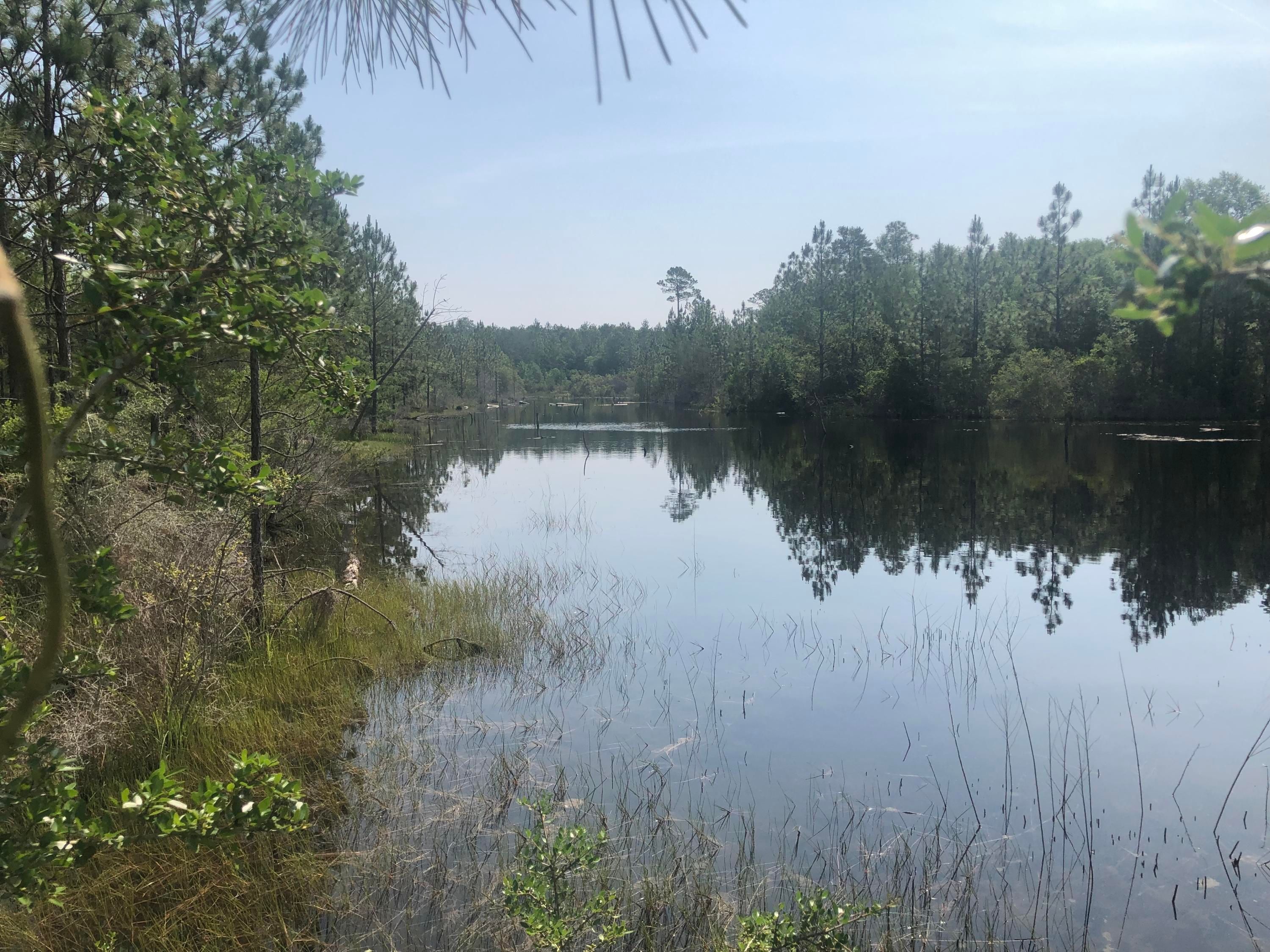 Crestview, Walton County, FL Undeveloped Land, Lakefront Property