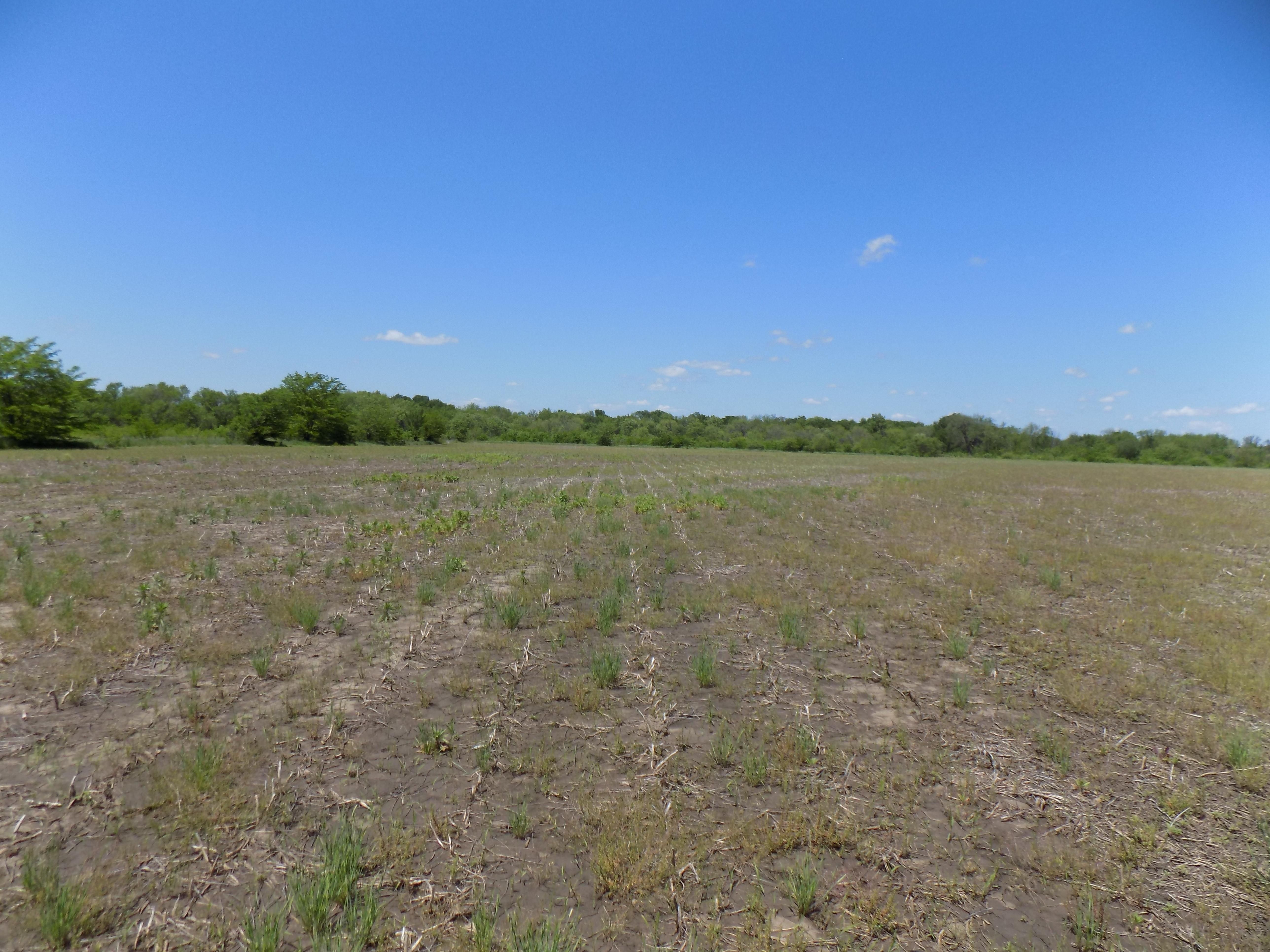 Mildred, Allen County, KS Recreational Property, Undeveloped Land