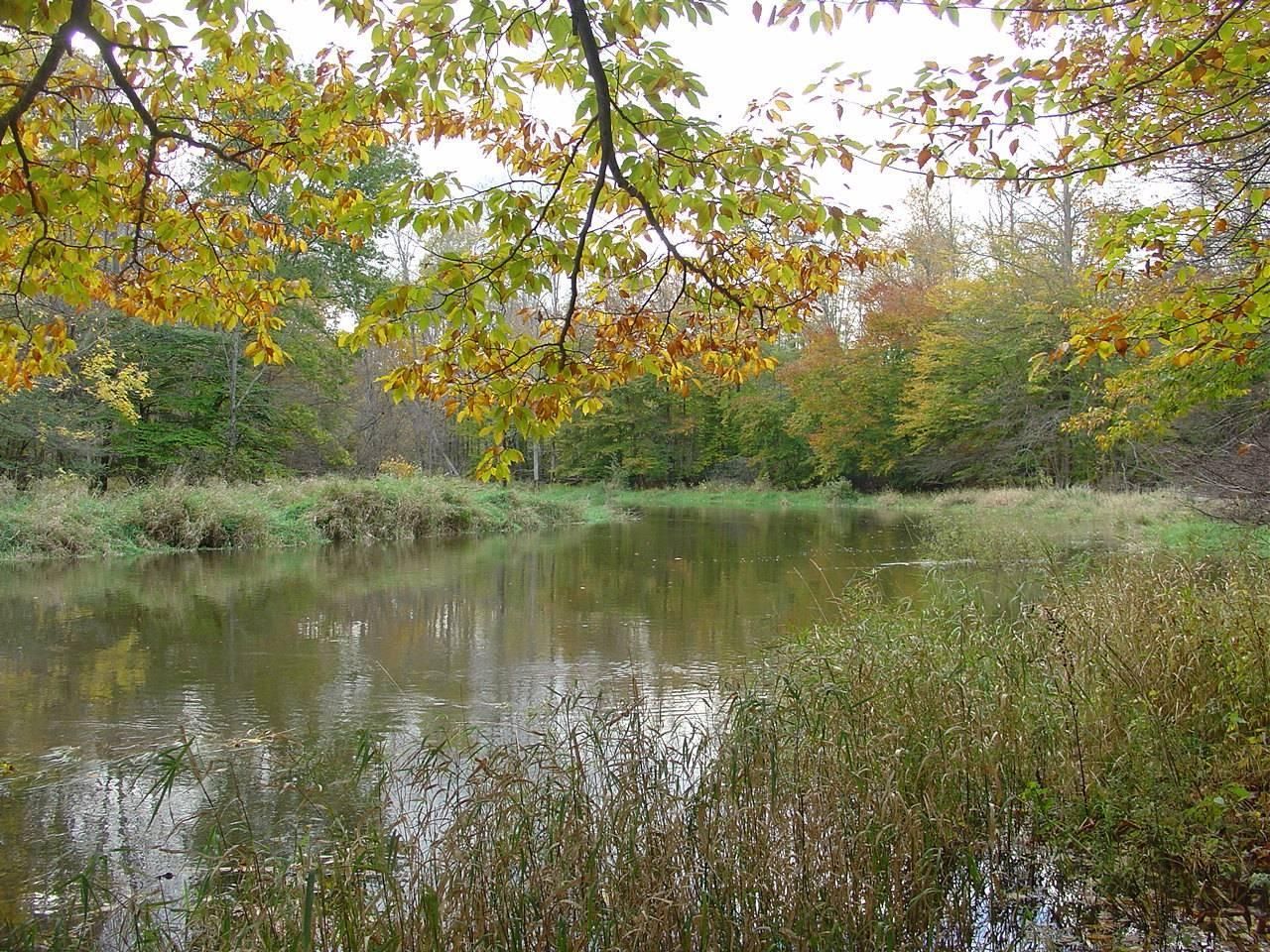 Falconer, Chautauqua County, NY Farms and Ranches for sale Property ID 403007665 LandWatch