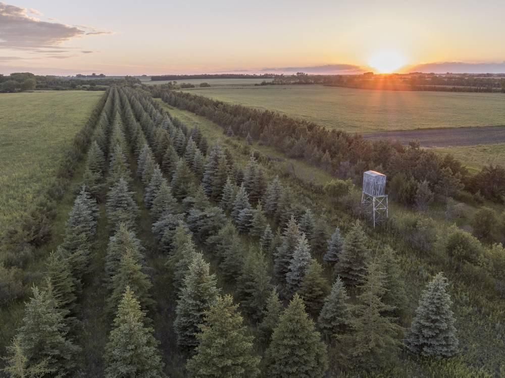 Fort Ransom, Ransom County, ND Farms and Ranches, House for sale