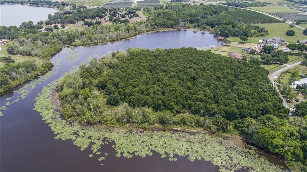 Mount Dora, Lake County, FL Undeveloped Land for sale Property ID