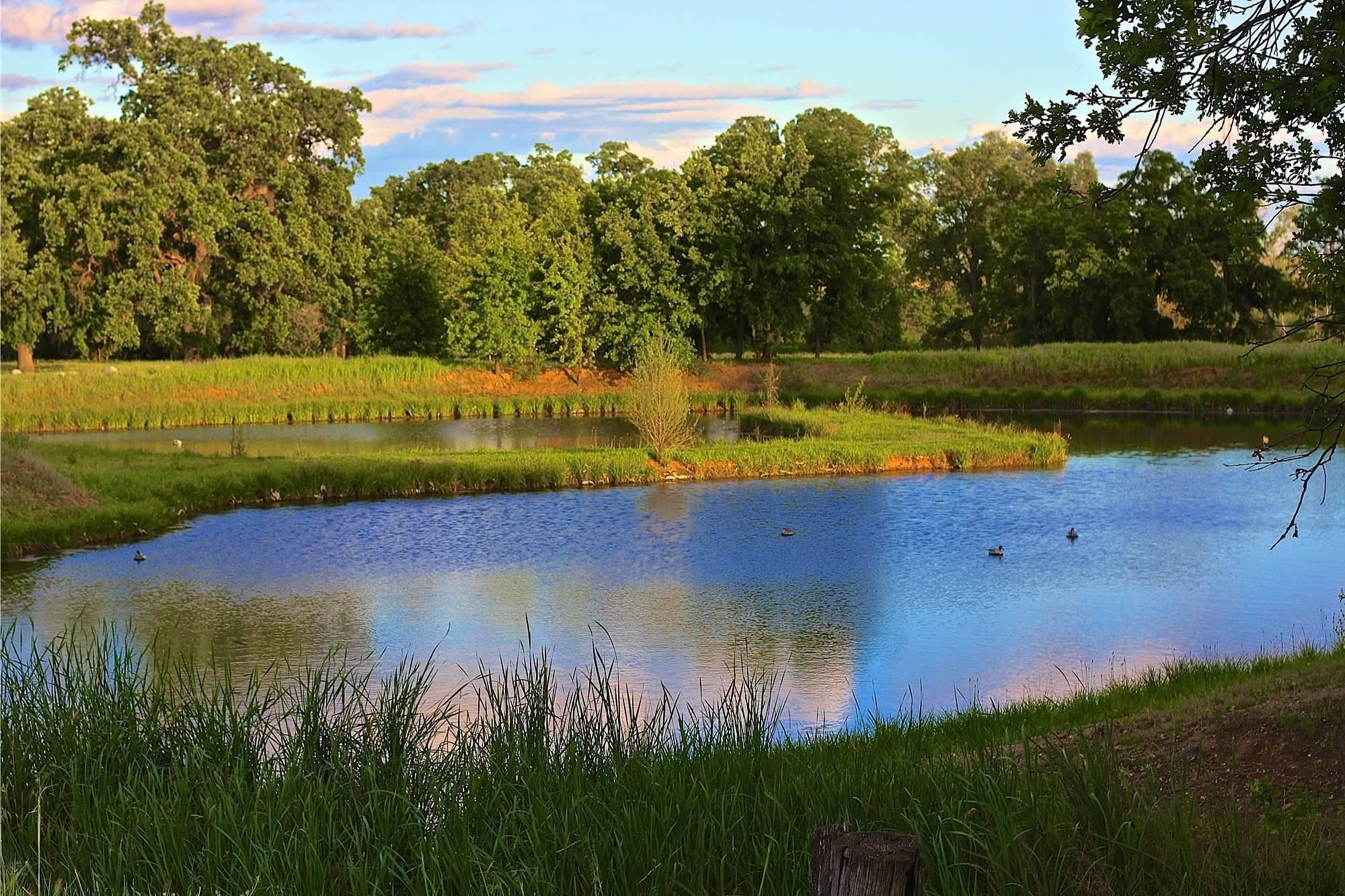 Red Bluff, Tehama County, CA Farms and Ranches, House for sale Property