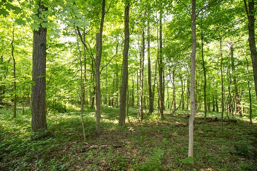 Township Rd 629, Loudonville, OH 44842 LandWatch