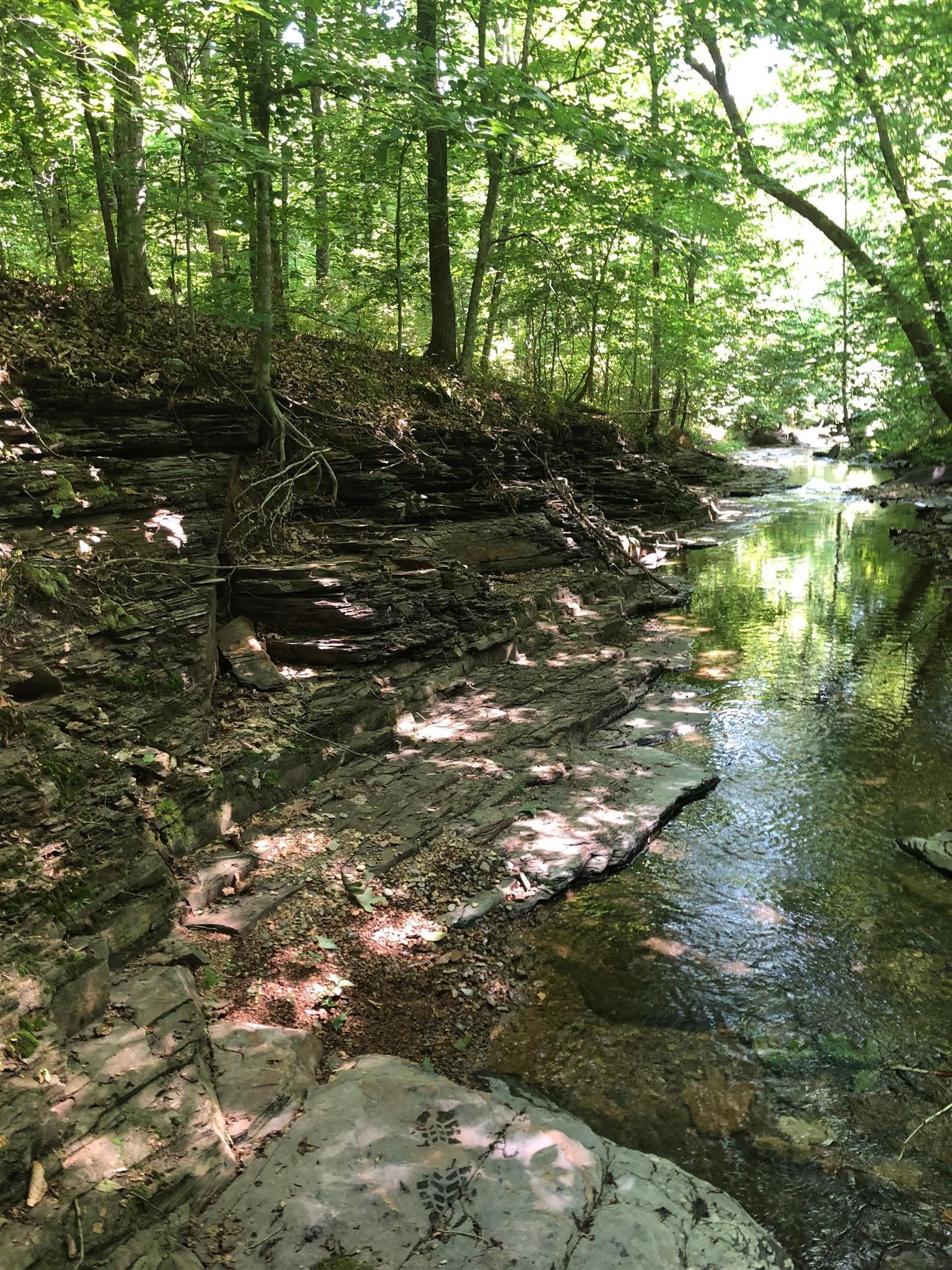 Cottontown, Sumner County, TN Farms and Ranches for sale Property ID