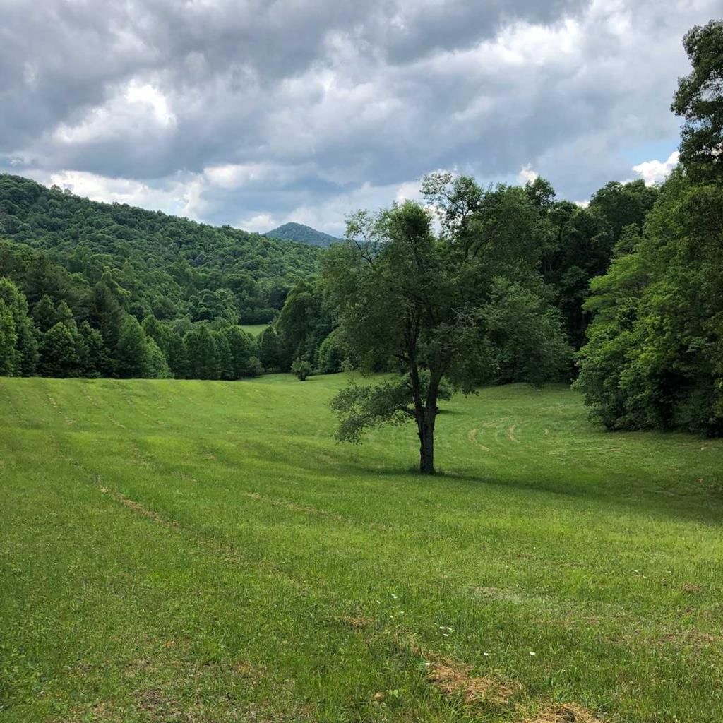 Robbinsville, Graham County, NC Undeveloped Land for sale Property ID 335207047 LandWatch