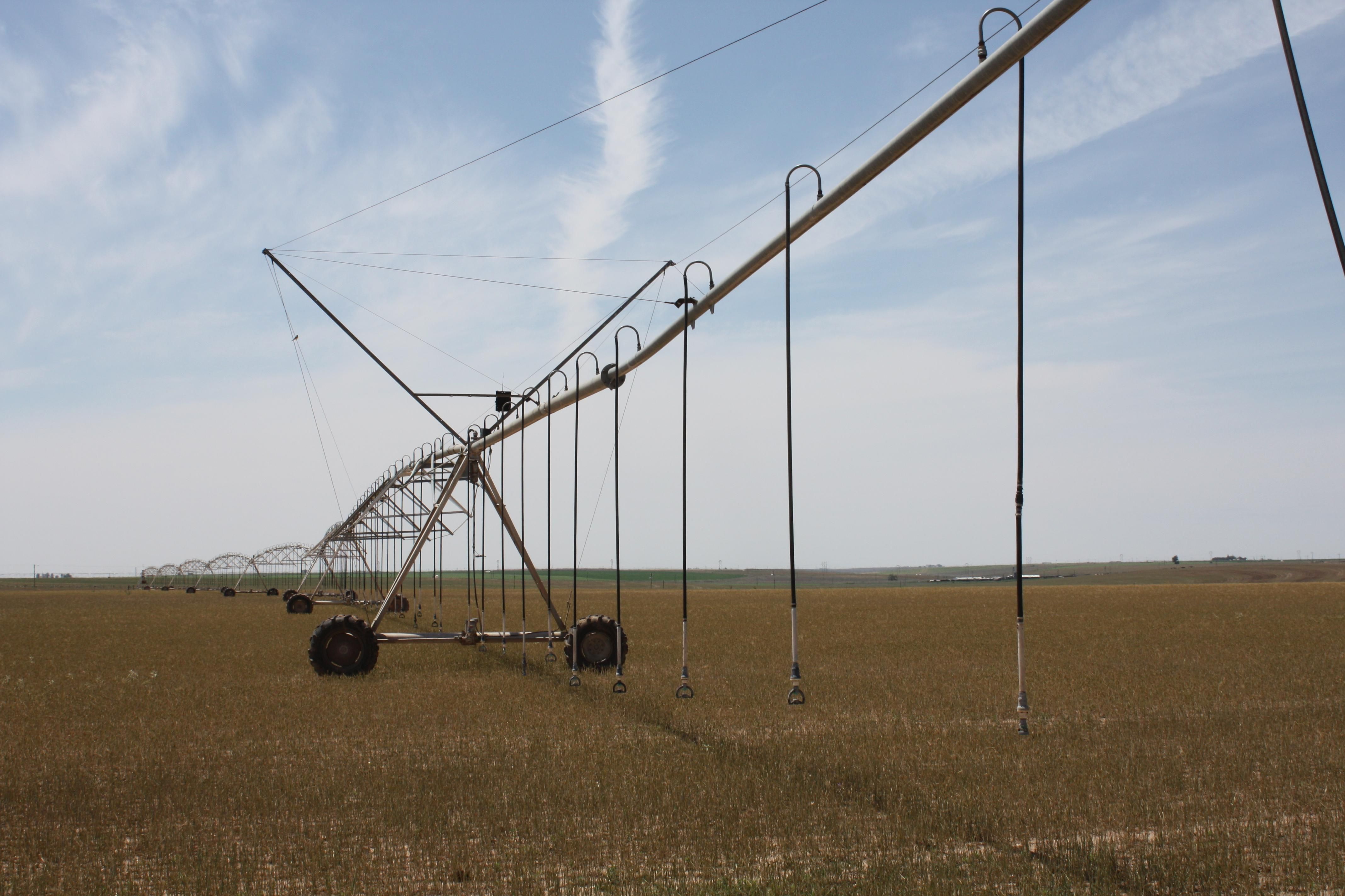 Dimmitt, Castro County, TX Farms and Ranches for sale Property ID