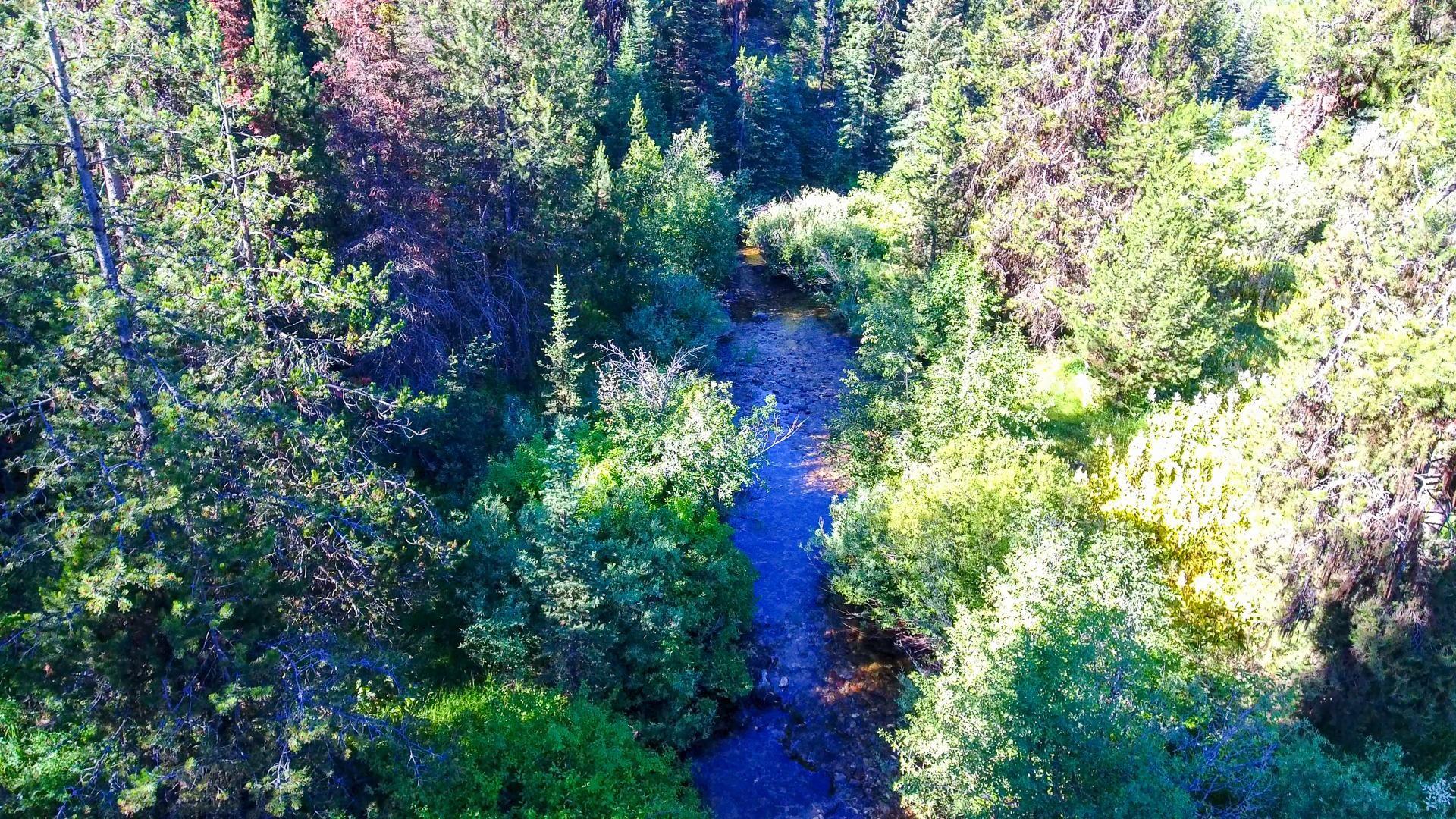 Cascade, Valley County, ID Recreational Property, Undeveloped Land for