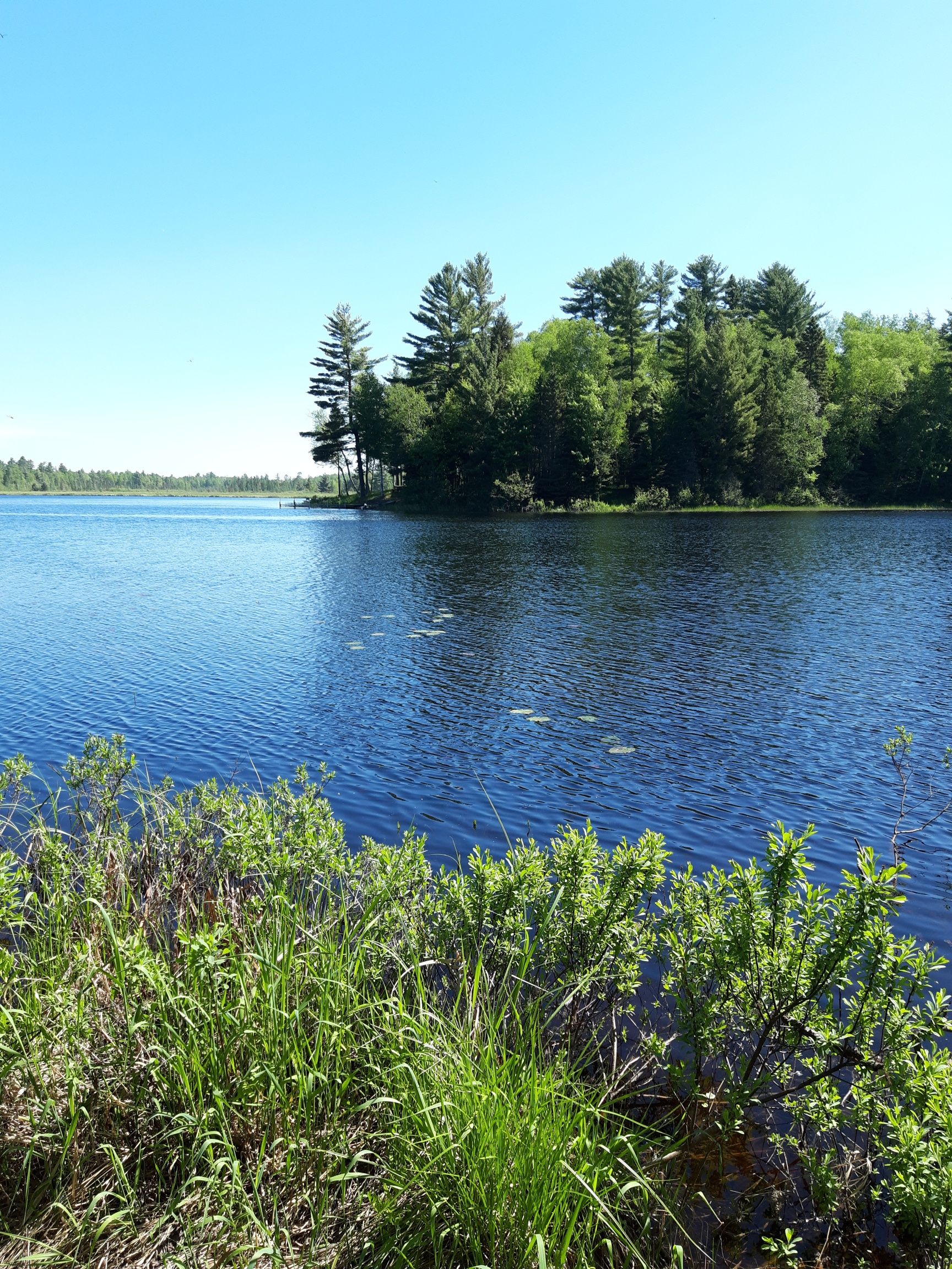 Mercer, Iron County, WI Undeveloped Land, Homesites for sale Property