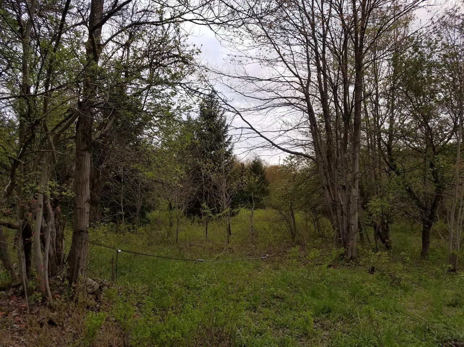 Mcdonough, Chenango County, NY Undeveloped Land for sale Property ID