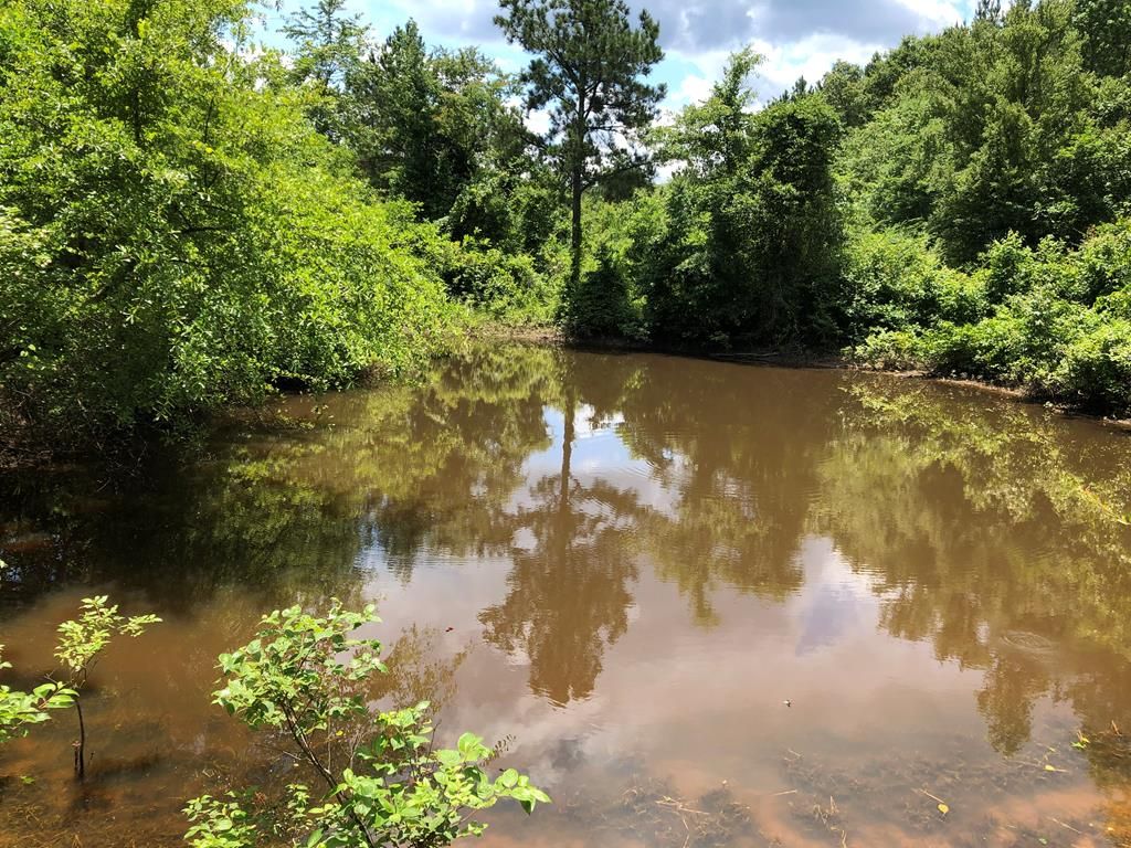 Bogue Chitto, Lincoln County, MS Undeveloped Land, Lakefront Property, Waterfront Property for