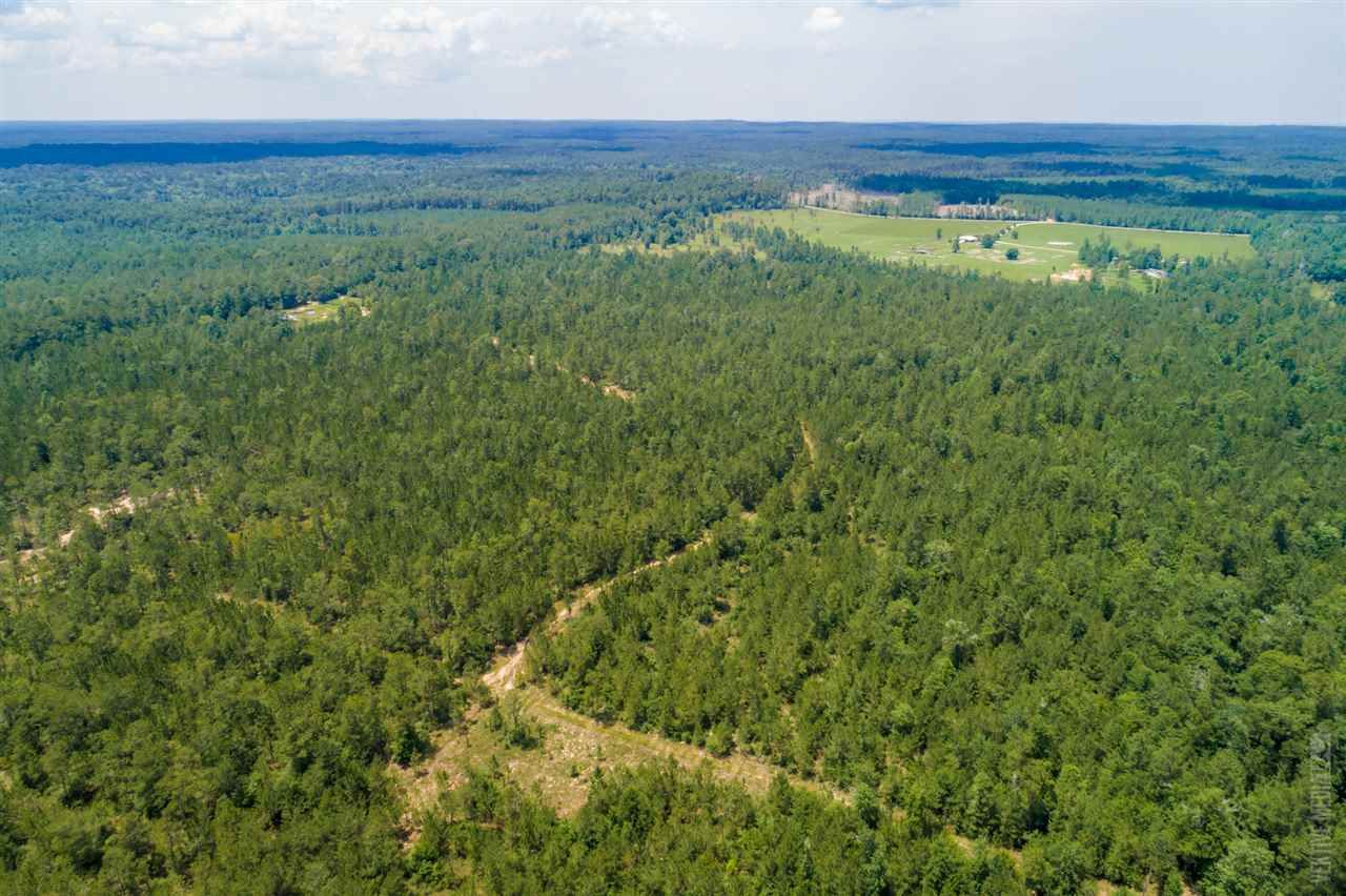 Jasper, Jasper County, TX Undeveloped Land for sale Property ID