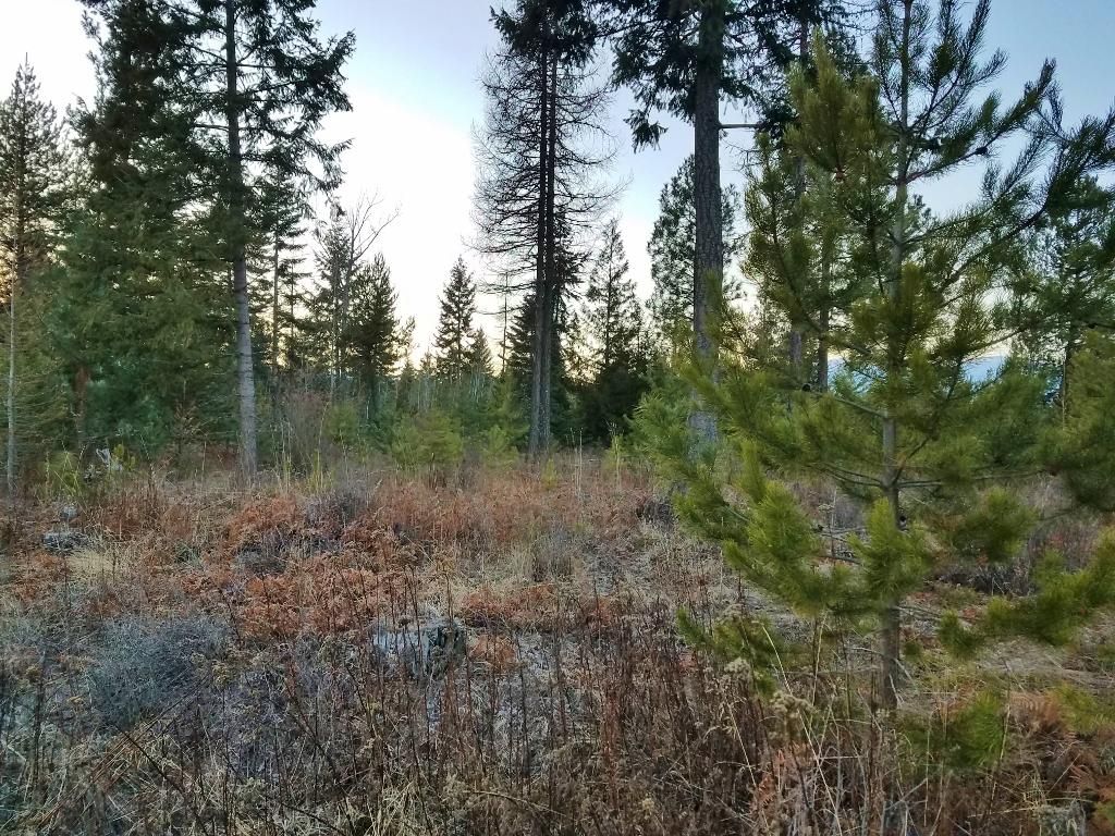 Bonners Ferry, Boundary County, ID Commercial Property, Homesites for