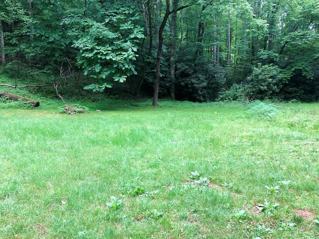 Bryson City, Swain County, NC Undeveloped Land for sale Property ID