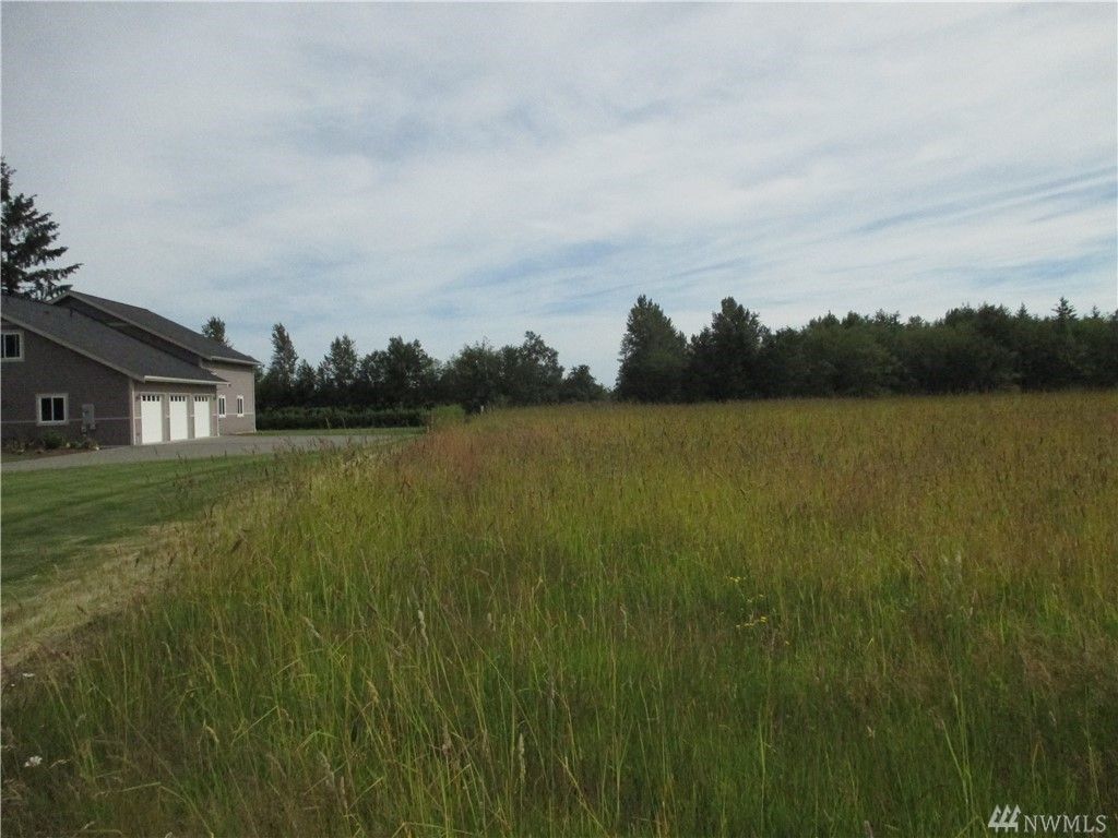 Lynden, County, WA Undeveloped Land for sale Property ID