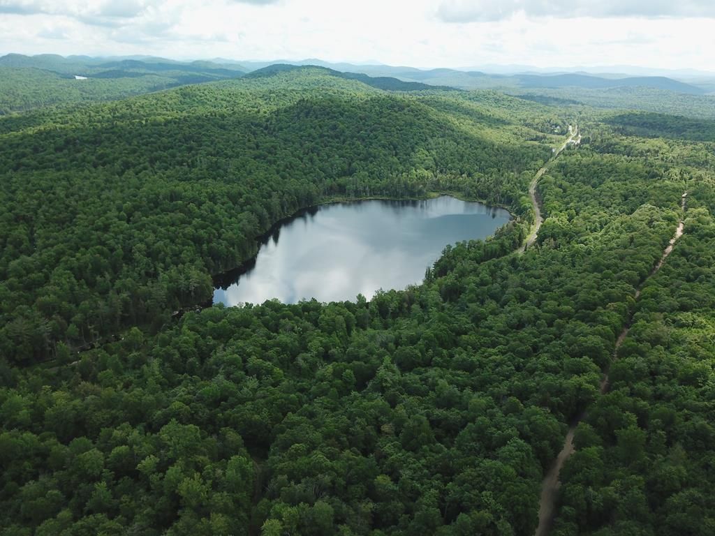 Eagle Bay, Herkimer County, NY Lakefront Property, Waterfront Property