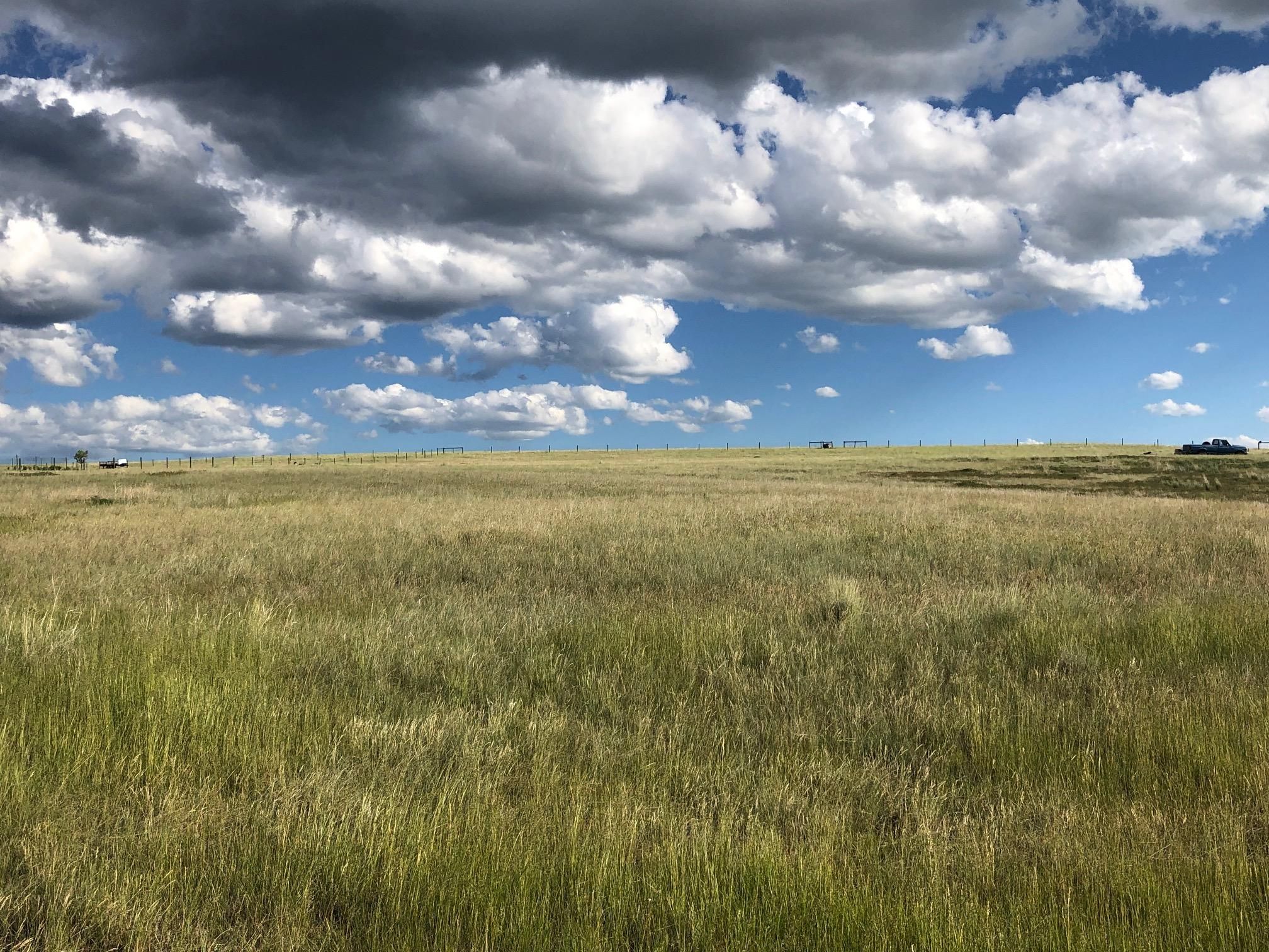 Deer Lodge, Powell County, MT Undeveloped Land for sale Property ID