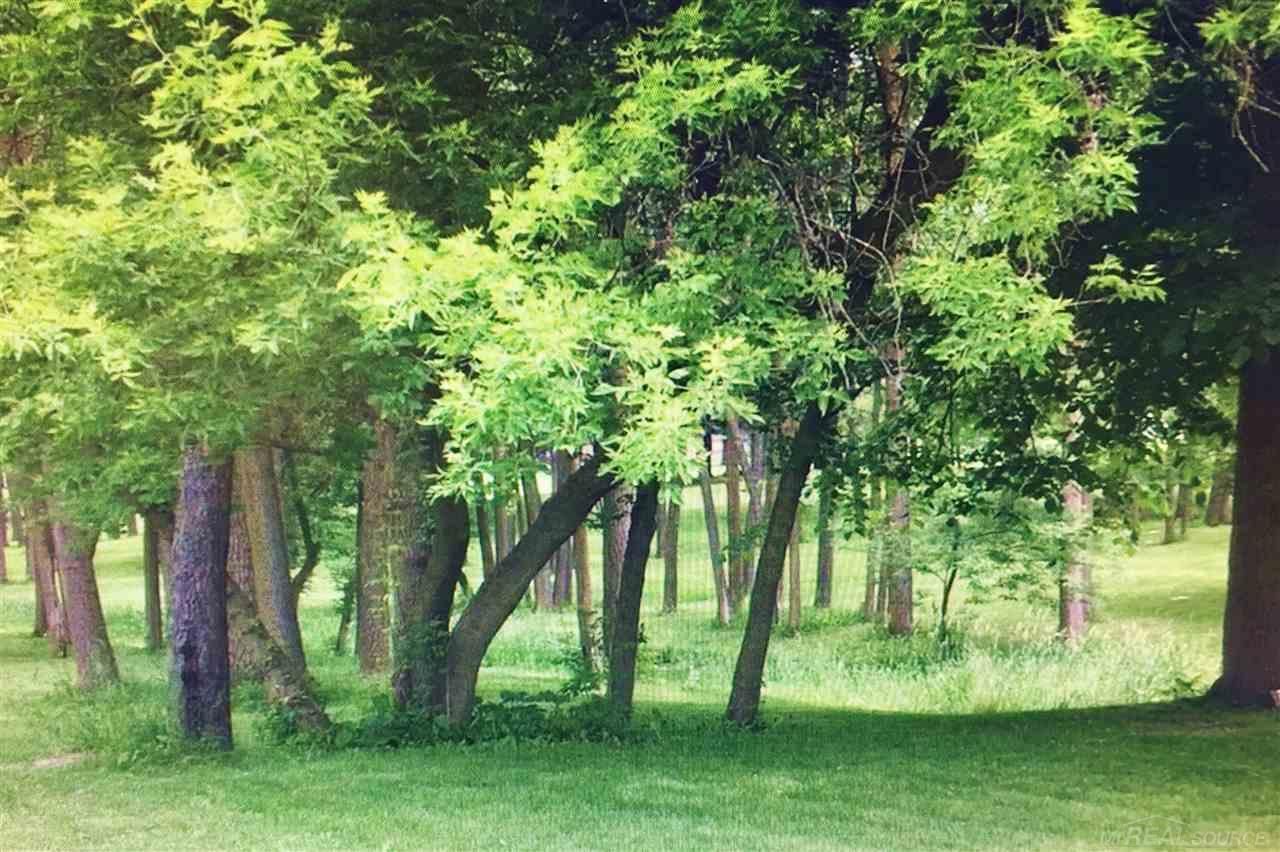 Croswell, Sanilac County, MI Undeveloped Land, Homesites for sale