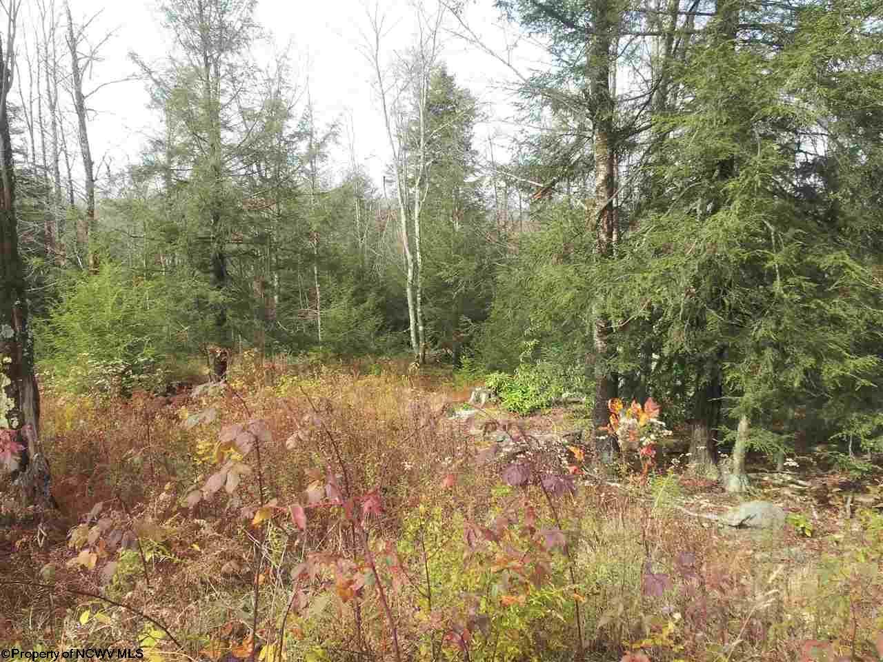 Davis, Tucker County, WV Undeveloped Land, Homesites for sale Property ID 335378502 LandWatch