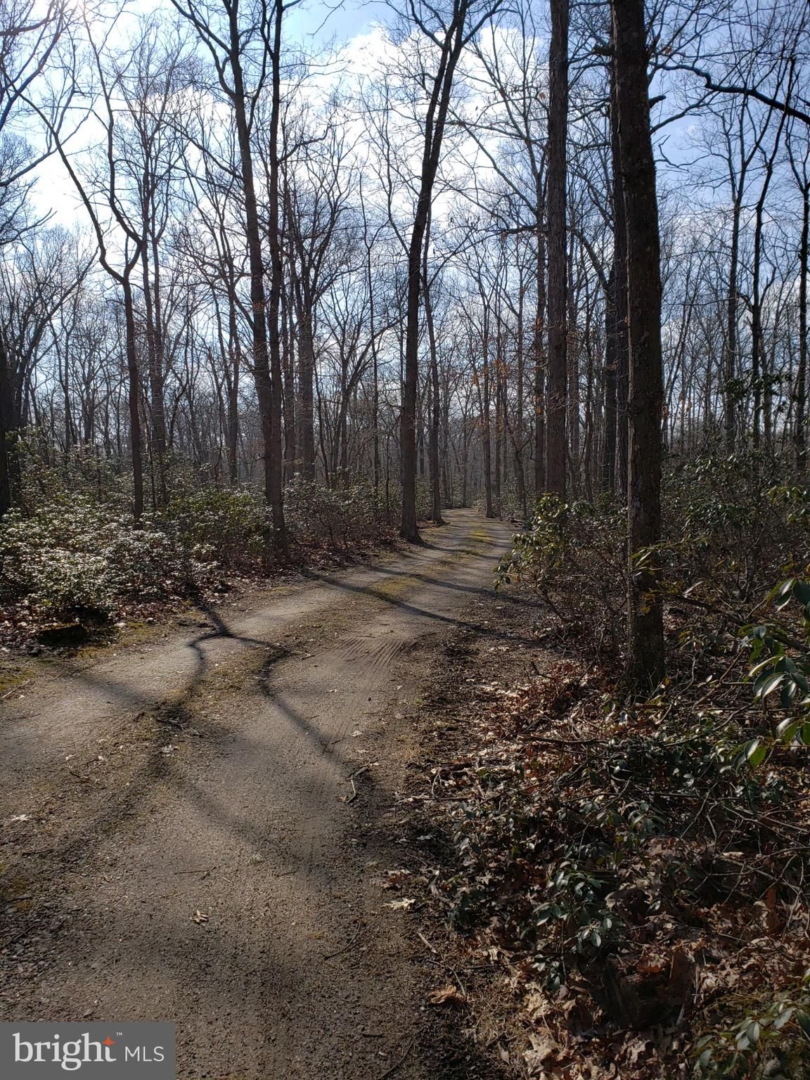 Franklinville, Gloucester County, NJ Undeveloped Land for sale Property