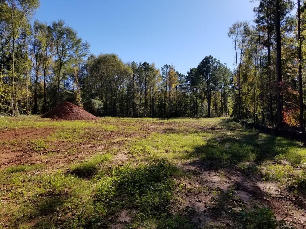 Pine Mountain, Harris County, GA Undeveloped Land for sale Property ID
