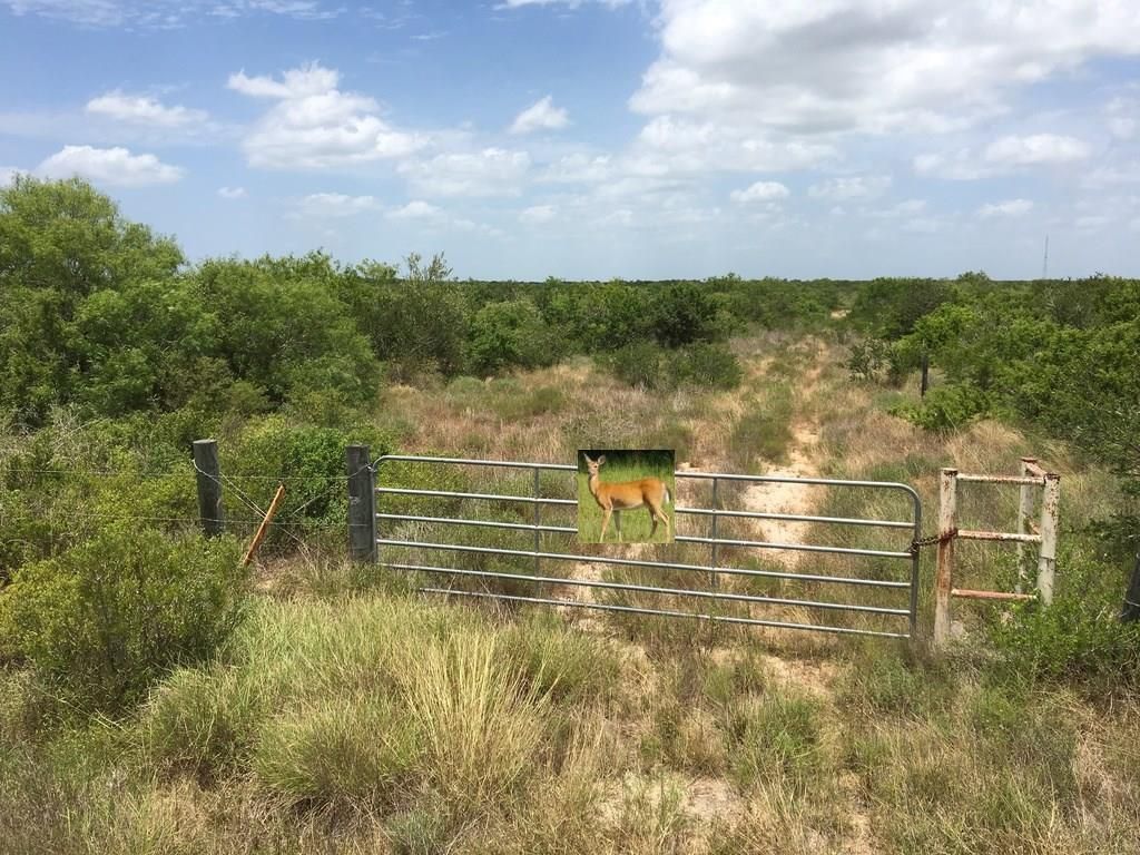 San Diego, Duval County, TX Undeveloped Land for sale Property ID 335393106 LandWatch
