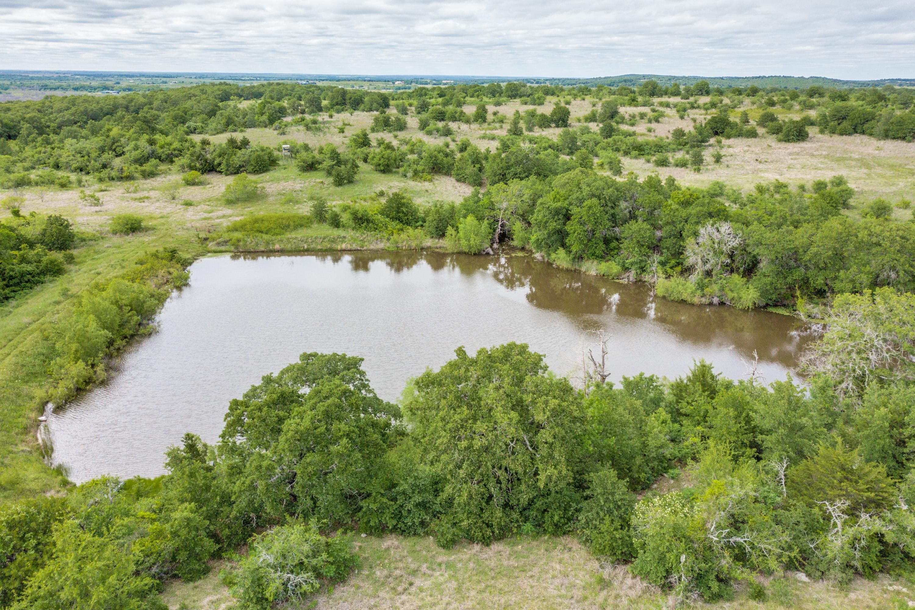 Bowie, Montague County, TX Farms and Ranches, Hunting Property, Horse Property, House for sale