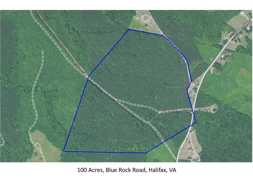 Halifax, Halifax County, VA Undeveloped Land for sale Property ID