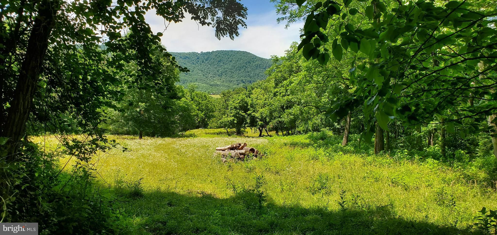 Washington, Rappahannock County, VA Undeveloped Land for sale Property