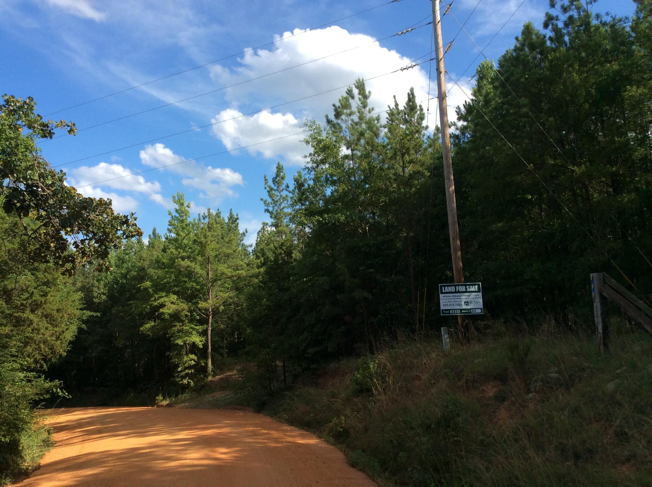 Pine Level, Autauga County, AL Recreational Property, Hunting Property