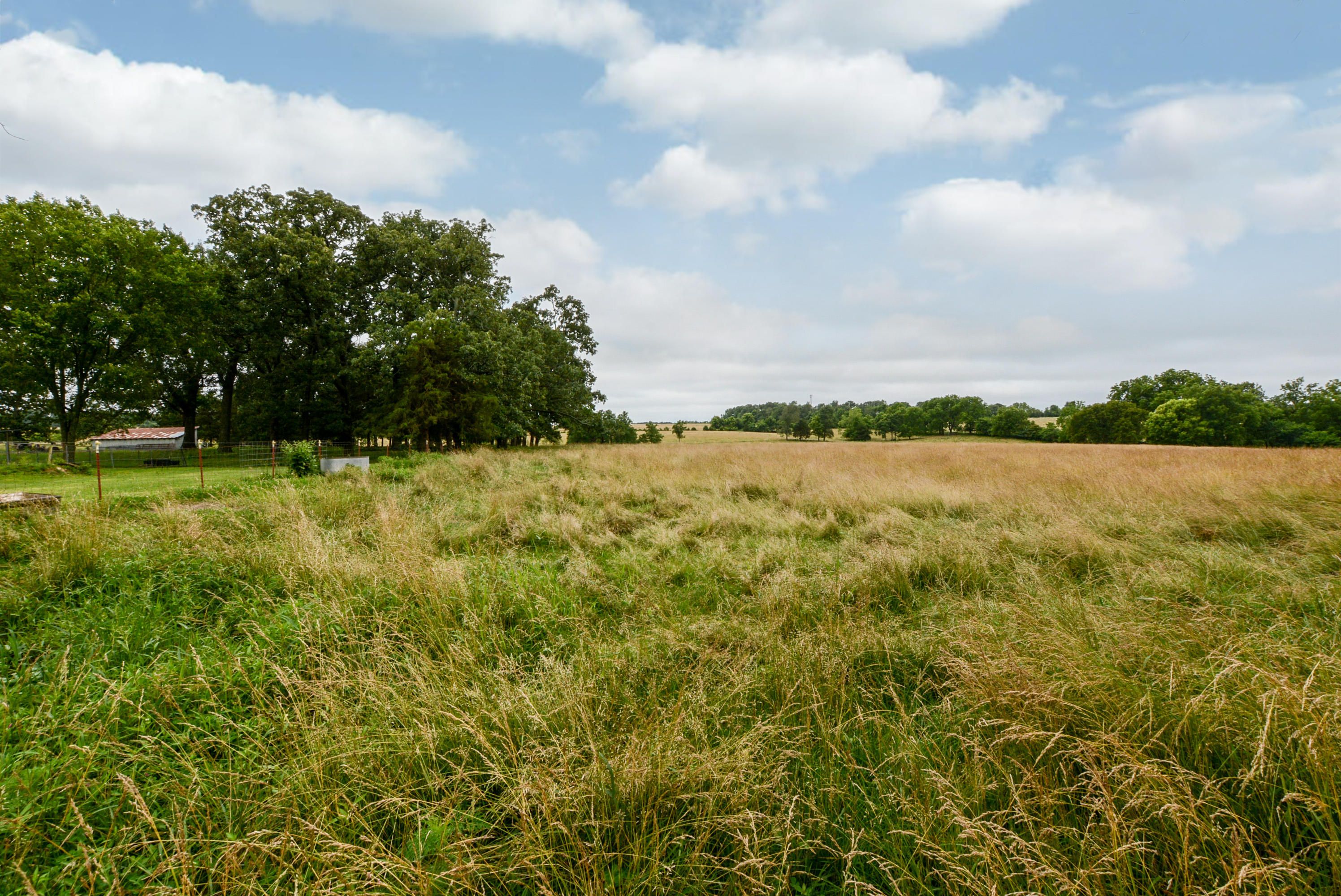 Sparta, Christian County, MO Undeveloped Land for sale Property ID