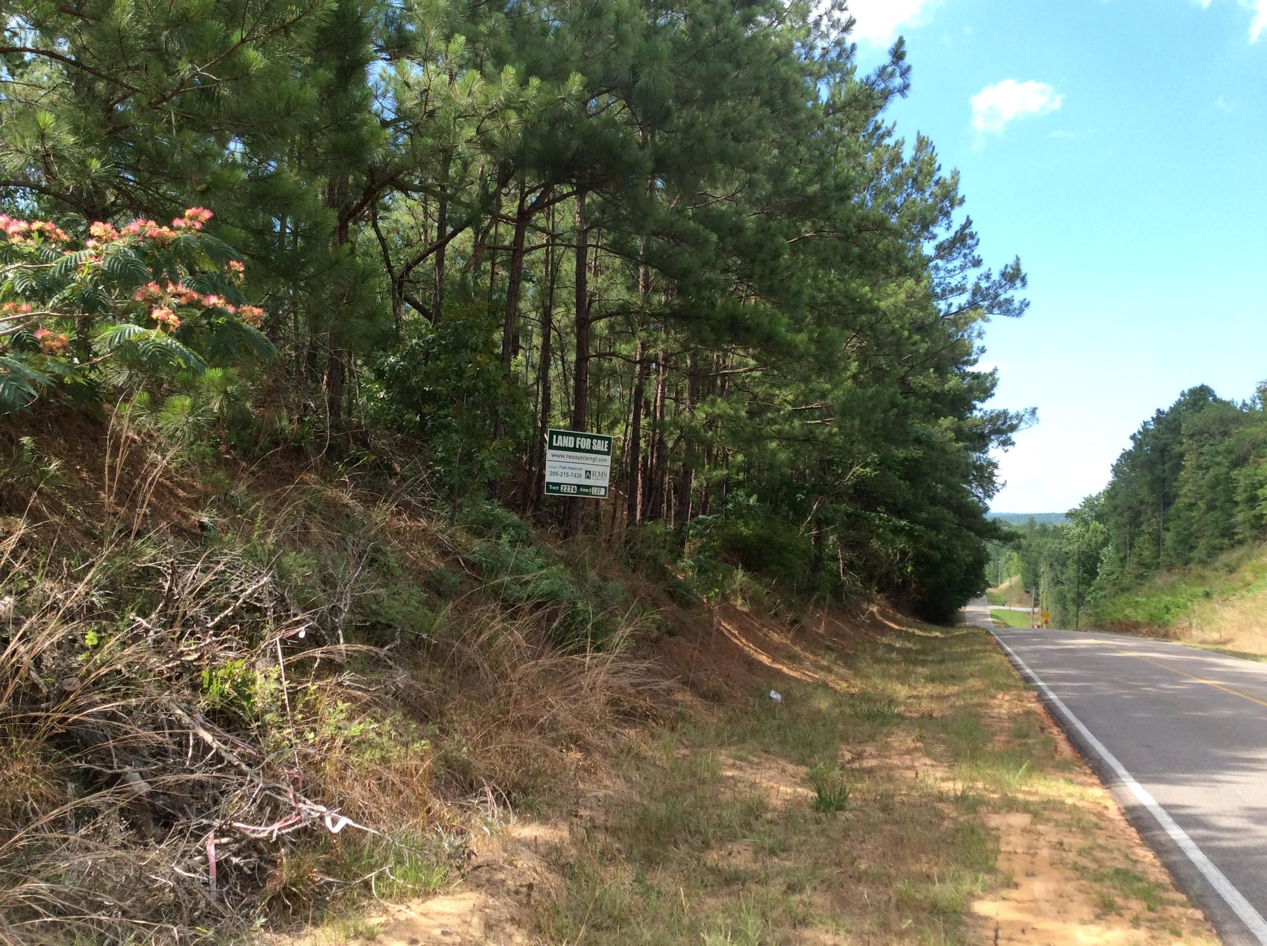 Pine Level, Autauga County, AL Recreational Property, Hunting Property