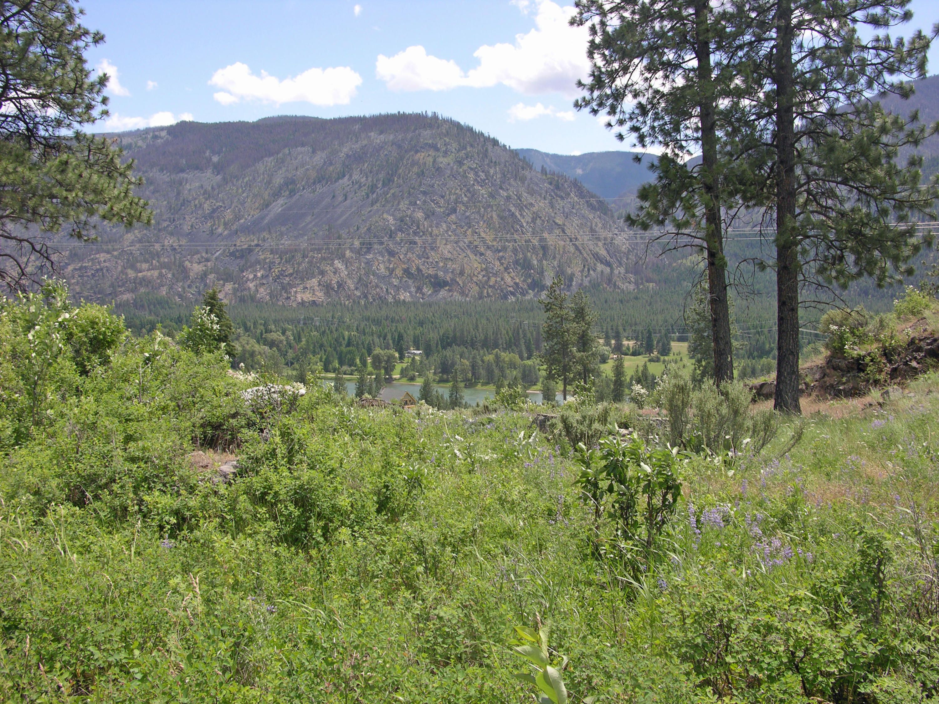 Thompson Falls, Sanders County, MT Undeveloped Land for sale Property
