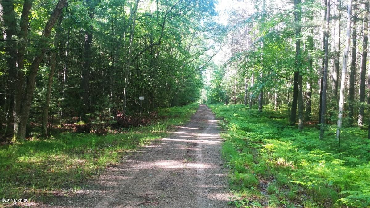 Idlewild, Lake County, MI Undeveloped Land for sale Property ID