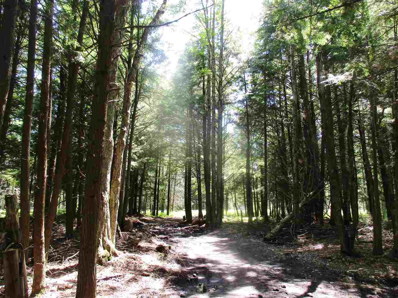 Houghton Lake, County, MI Undeveloped Land for sale Property