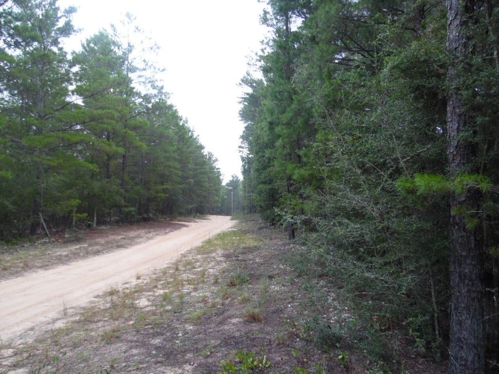 Mossy Head, Okaloosa County, FL Undeveloped Land, Lakefront Property