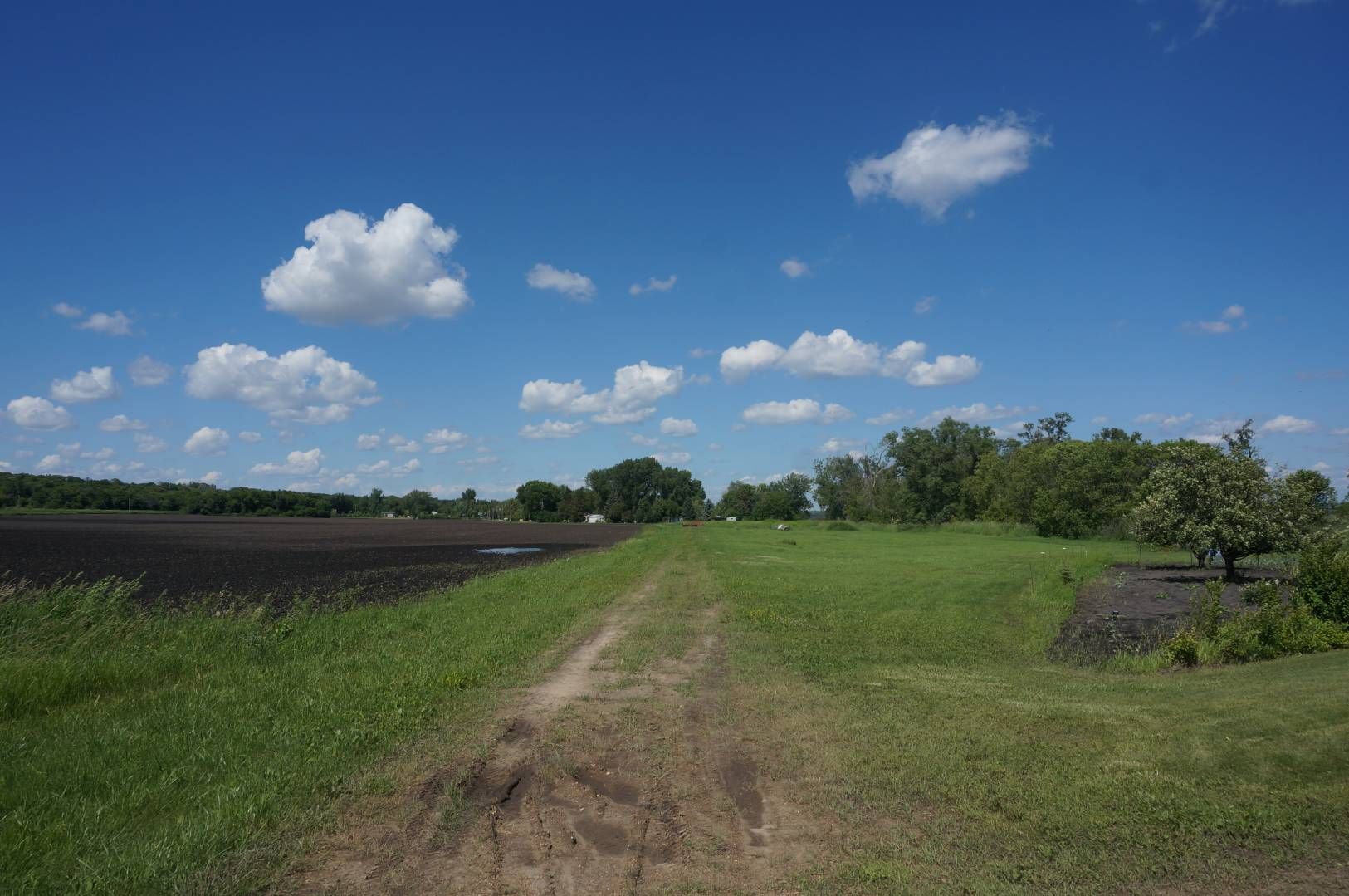 Rosholt, Roberts County, SD Undeveloped Land, Homesites for sale