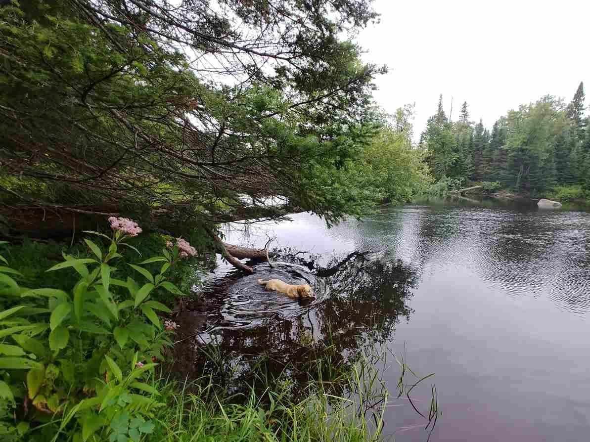 Amasa, Iron County, MI Hunting Property, Riverfront Property, Waterfront Property for sale