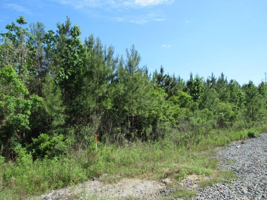 Dequincy, Calcasieu Parish, LA Recreational Property, Timberland Property for sale Property ID