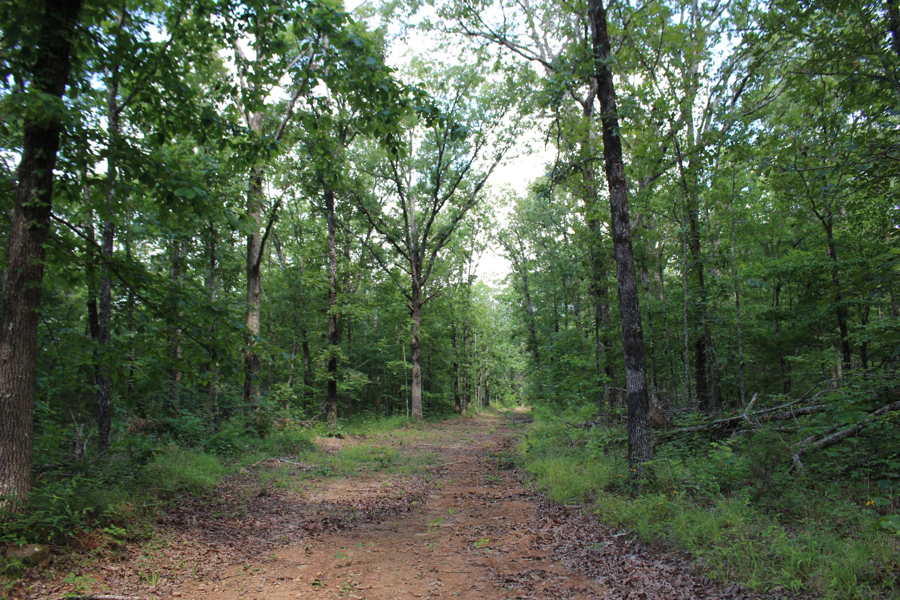 Oark, Johnson County, AR Undeveloped Land for sale Property ID