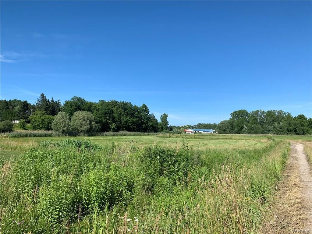 Alexander, Genesee County, NY Undeveloped Land, Homesites for sale