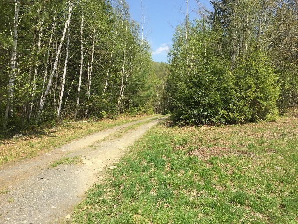 Guilford, Piscataquis County, ME Timberland Property for sale Property