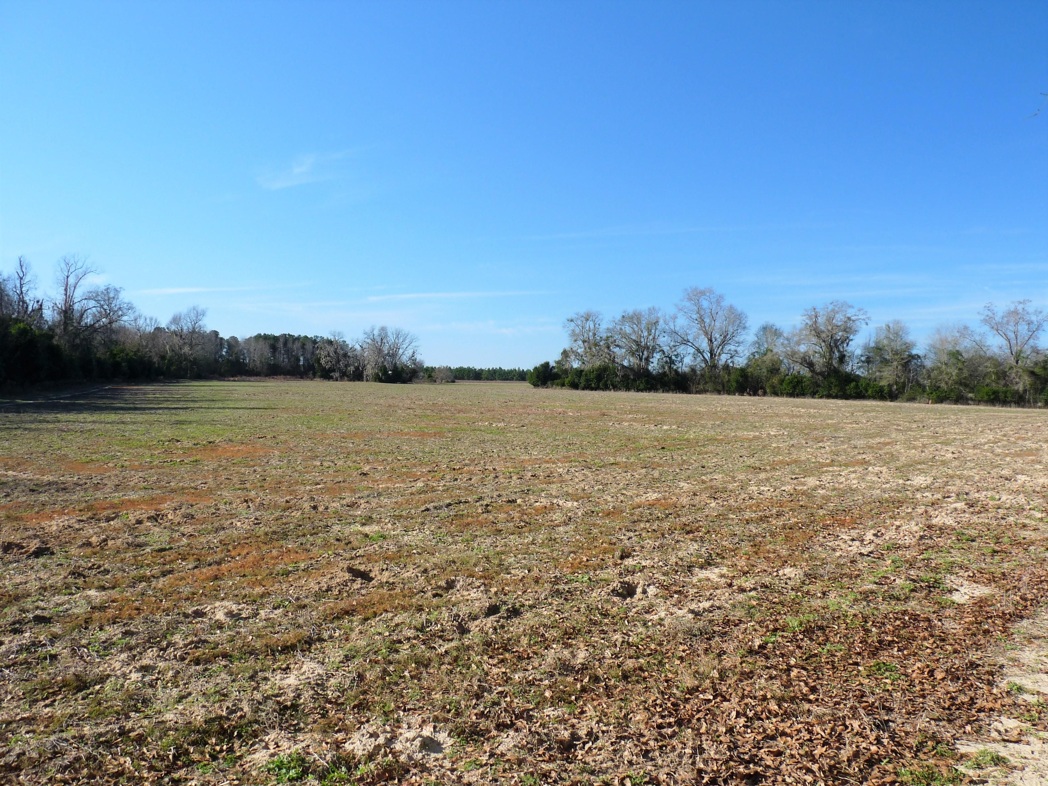Fairfax, Allendale County, SC Timberland Property for sale Property ID