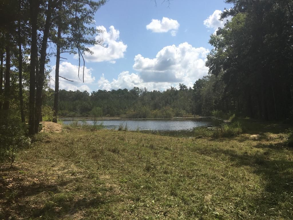 0000 County Line Rd, Pelham, GA 31779 MLS 914533 LandWatch