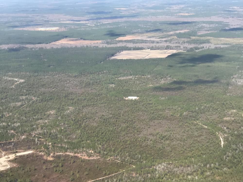 Currie, Pender County, NC Recreational Property, Hunting Property