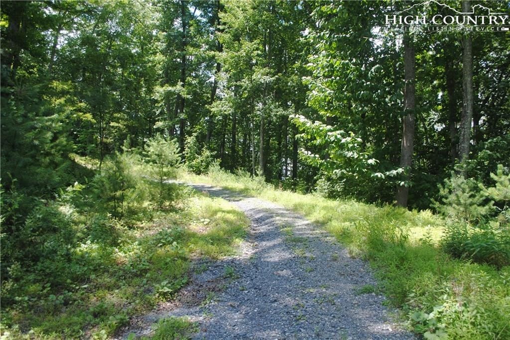 Boone, Watauga County, NC Undeveloped Land for sale Property ID