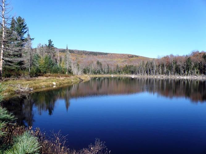 Kirby, Caledonia County, VT Recreational Property, Timberland Property